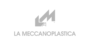 Meccanoplastica